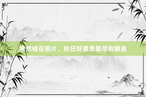 竟然桂花图片，秋日好意思景尽收眼底